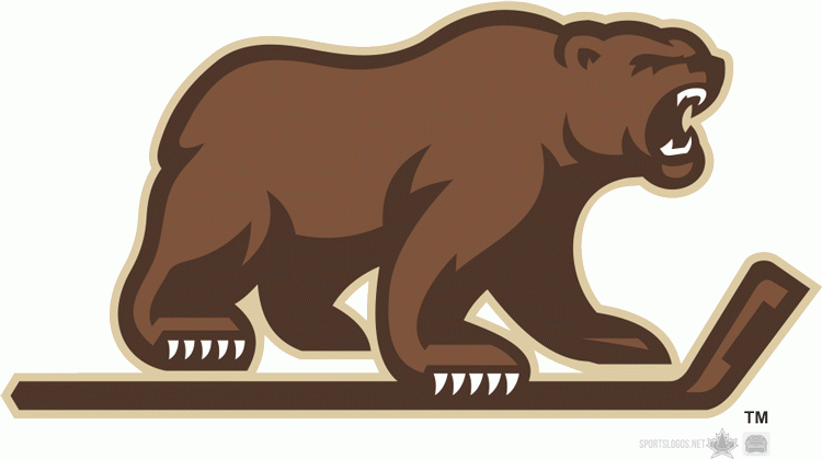 Hershey Bears 2012 13-Pres Alternate Logo v2 iron on transfers for T-shirts